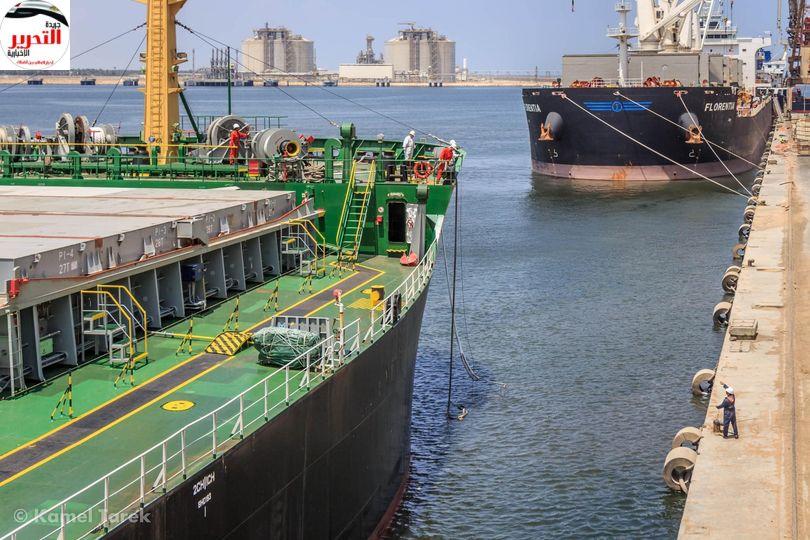 لصالح السلع التموينية ميناء دمياط يستقبل سفينة روسية على متنها 12656 طن قمح و و 450 طن زيت طعام